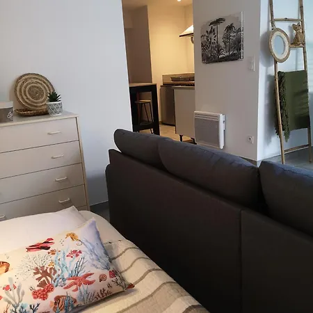 Entre Lac Et Cite Medievale Wifi Gratuit Terrasse *